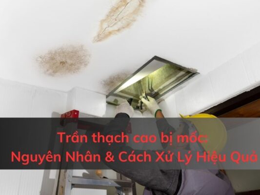 Nguyên nhân trần thạch cao bị mốc và cách xử lý hiệu quả