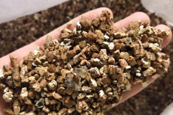 Vermiculite là gì?