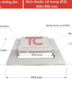 nap tham tran thach cao 450x450 mm chong am 2 lop