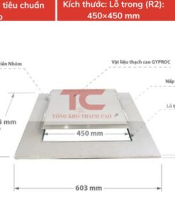 nap tham tran thach cao 450x450 mm tieu chuan 2 lop