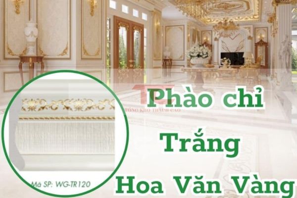 chỉ chân tường thạch cao hoa căn